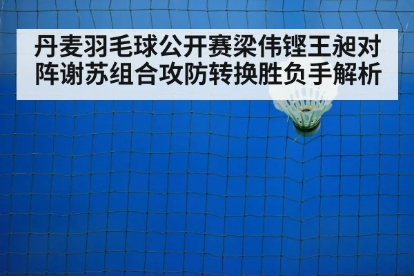 badminton net shot closeup